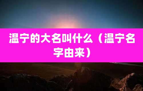 温宁的大名叫什么(温宁名字由来)