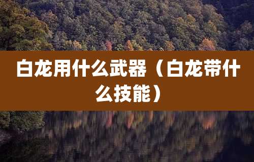 白龙用什么武器（白龙带什么技能）