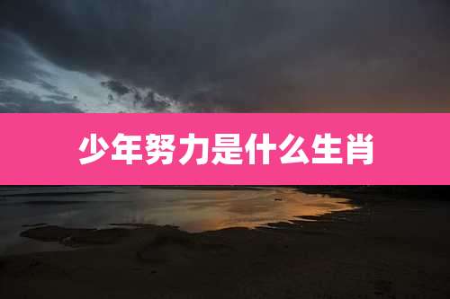 少年努力是什么生肖