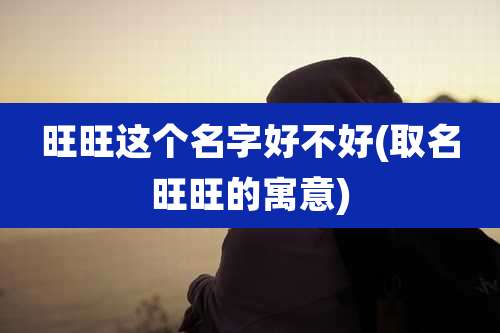 旺旺这个名字好不好(取名旺旺的寓意)