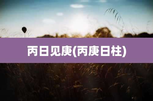 丙日见庚(丙庚日柱)