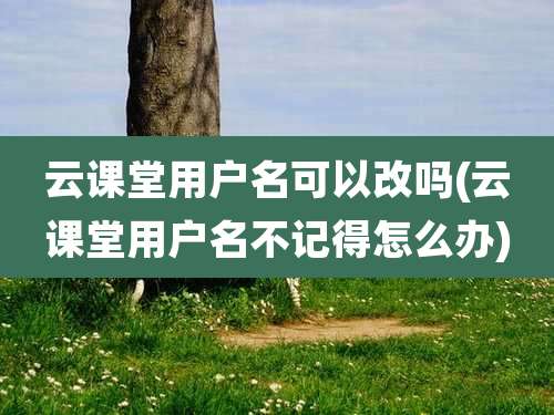 云课堂用户名可以改吗(云课堂用户名不记得怎么办)