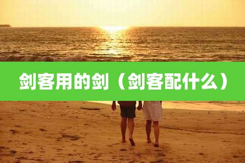 剑客用的剑(剑客配什么)