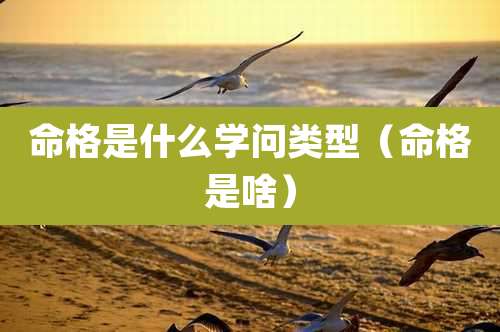 命格是什么学问类型（命格是啥）