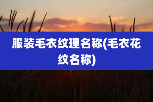 服装毛衣纹理名称(毛衣花纹名称)