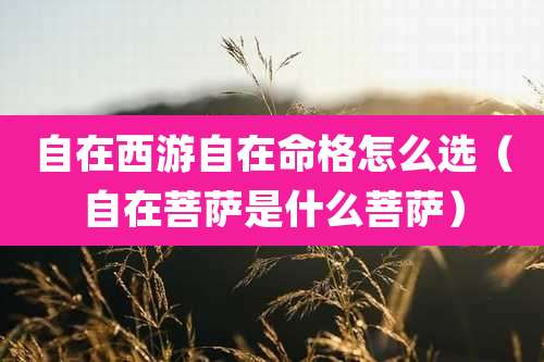 自在西游自在命格怎么选(自在菩萨是什么菩萨)