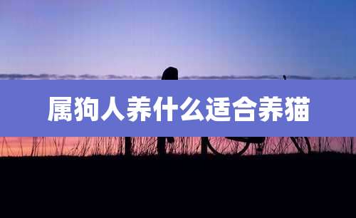 属狗人养什么适合养猫