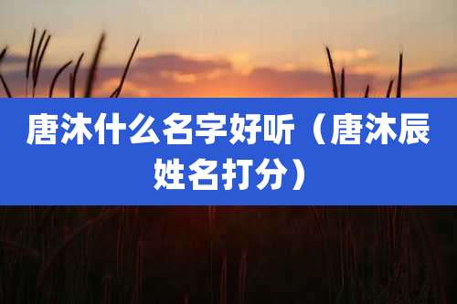 唐沐什么名字好听（唐沐辰姓名打分）