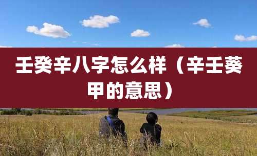 壬癸辛八字怎么样(辛壬葵甲的意思)