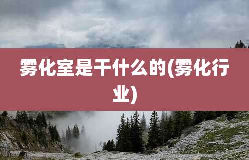 雾化室是干什么的(雾化行业)