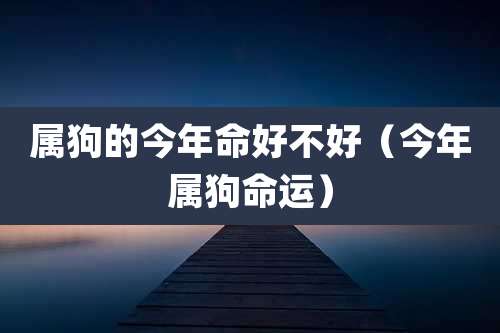 属狗的今年命好不好（今年属狗命运）