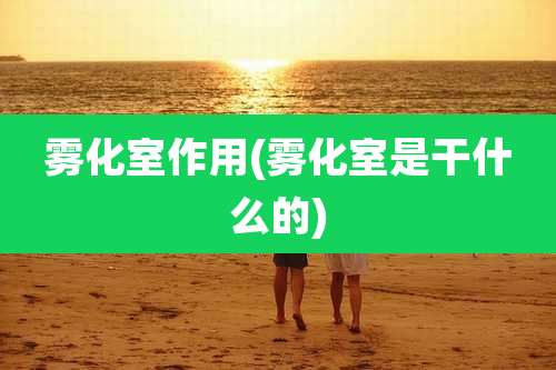 雾化室作用(雾化室是干什么的)