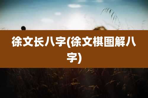 徐文长八字(徐文棋图解八字)