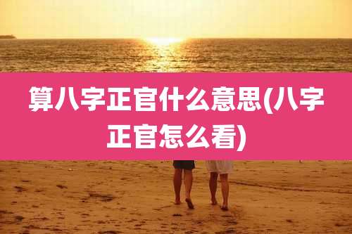 算八字正官什么意思(八字正官怎么看)