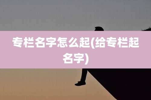 专栏名字怎么起(给专栏起名字)