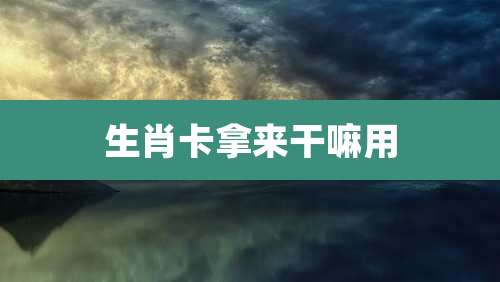 生肖卡拿来干嘛用