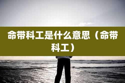 命带科工是什么意思(命带科工)