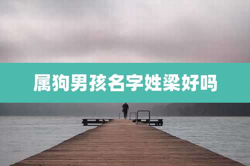 属狗男孩名字姓梁好吗