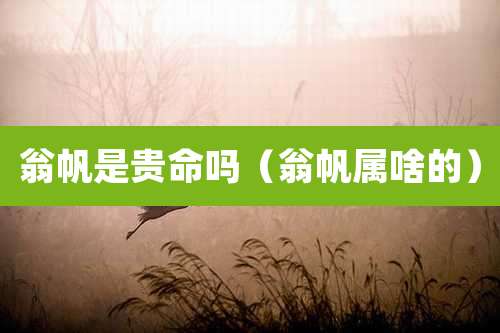 翁帆是贵命吗（翁帆属啥的）