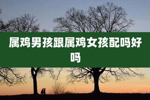 属鸡男孩跟属鸡女孩配吗好吗