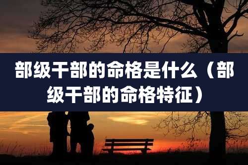 部级干部的命格是什么(部级干部的命格特征)