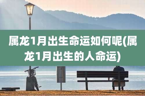 属龙1月出生命运如何呢(属龙1月出生的人命运)