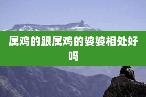 属鸡的跟属鸡的婆婆相处好吗