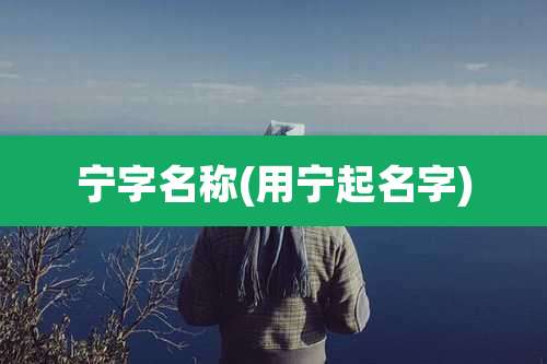 宁字名称(用宁起名字)