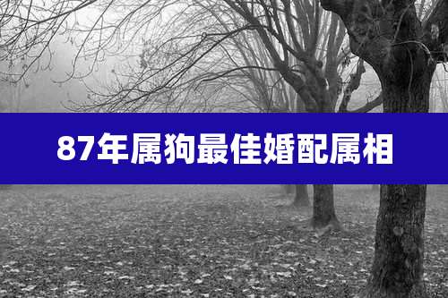 87年属狗最佳婚配属相