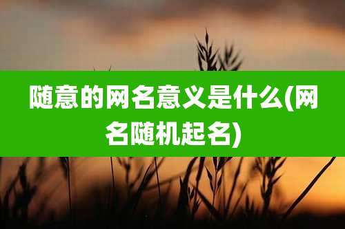 随意的网名意义是什么(网名随机起名)