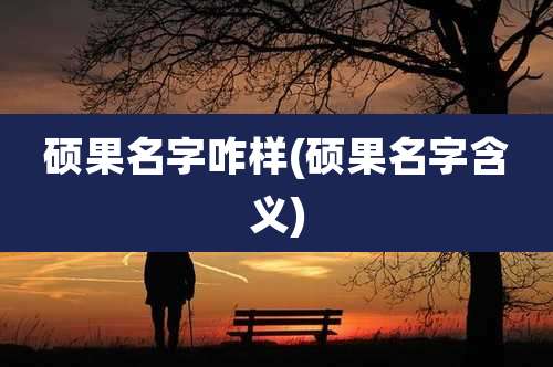 硕果名字咋样(硕果名字含义)