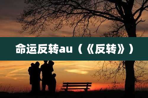 命运反转au(《反转》)