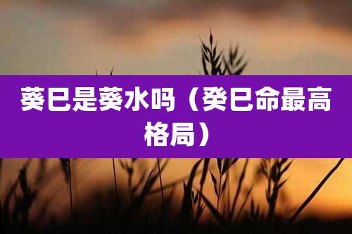 葵巳是葵水吗(癸巳命最高格局)