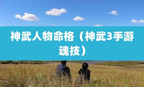 神武人物命格(神武3手游魂技)