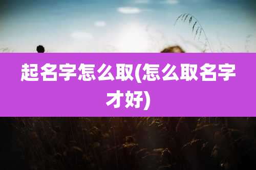 起名字怎么取(怎么取名字才好)