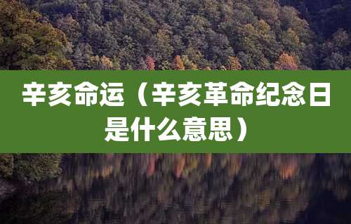 辛亥命运(辛亥革命纪念日是什么意思)