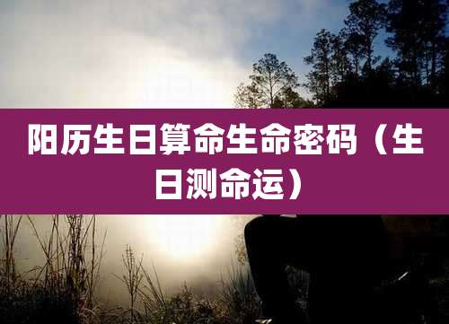 阳历生日算命生命密码(生日测命运)