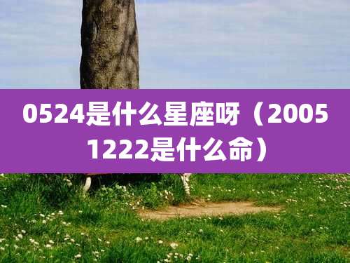 0524是什么星座呀(20051222是什么命)