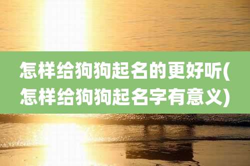怎样给狗狗起名的更好听(怎样给狗狗起名字有意义)