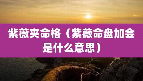 紫薇夹命格(紫薇命盘加会是什么意思)
