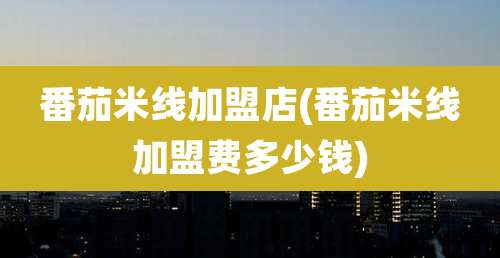 番茄米线加盟店(番茄米线加盟费多少钱)