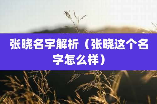 张晓名字解析(张晓这个名字怎么样)