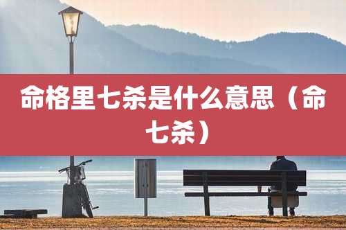 命格里七杀是什么意思(命 七杀)
