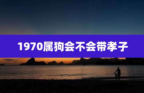 1970属狗会不会带孝子