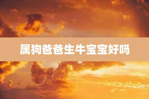属狗爸爸生牛宝宝好吗
