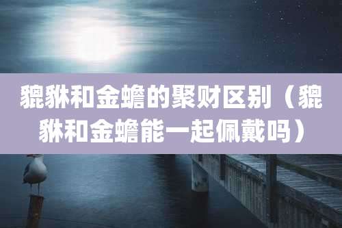 貔貅和金蟾的聚财区别(貔貅和金蟾能一起佩戴吗)
