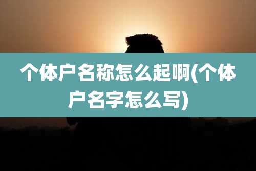 个体户名称怎么起啊(个体户名字怎么写)