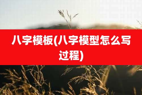 八字模板(八字模型怎么写过程)
