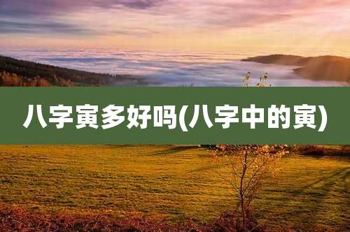 八字寅多好吗(八字中的寅)