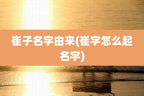崔子名字由来(崔字怎么起名字)